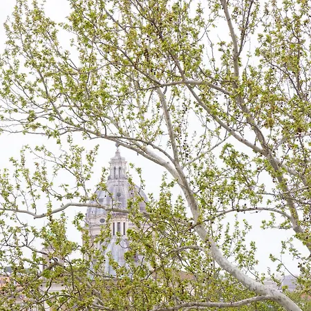 Mellini View By In Roma